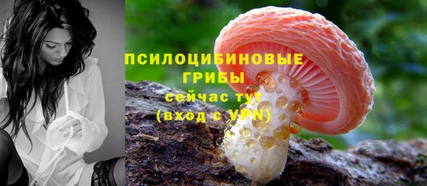ГАЛЛЮЦИНОГЕННЫЕ ГРИБЫ Абдулино