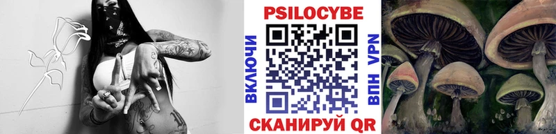 где купить наркоту  Яровое  Псилоцибиновые грибы Magic Shrooms 