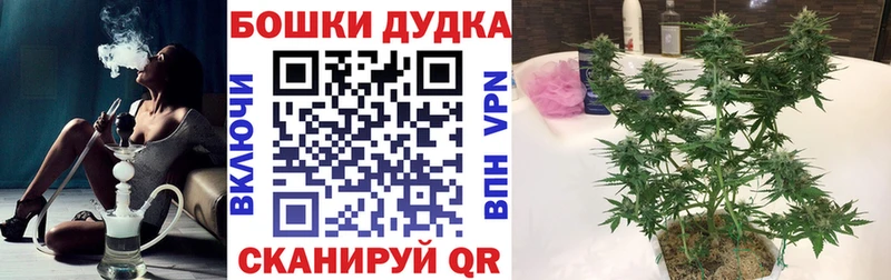 купить закладку  Яровое  мориарти состав  МАРИХУАНА OG Kush 